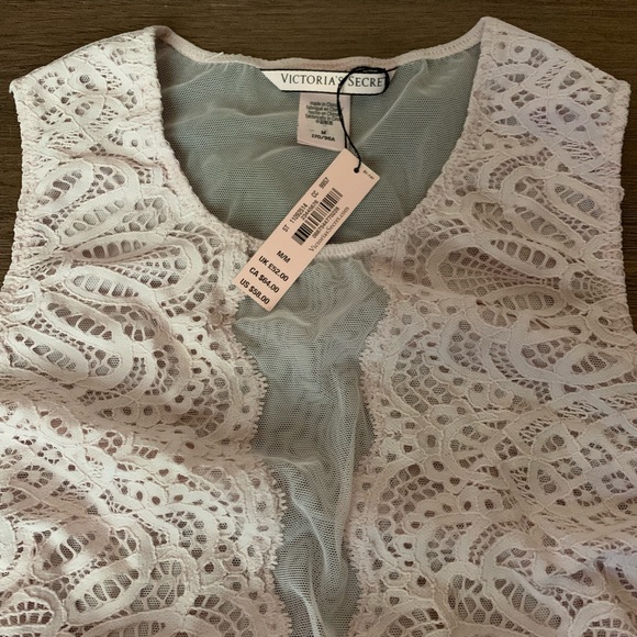 Victoria’s Secret Light Pink Lace Bodysuit NWT - Picture 3 of 3